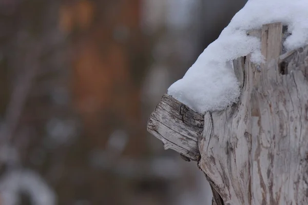 Dřevěná Textura Pokrytá Sněhem — Stock fotografie