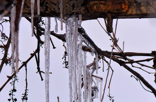 Icicles Roof — Stock Photo, Image