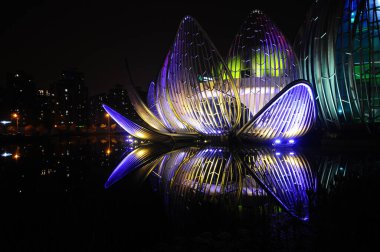 Gölette nilüfer çiçeği anıtı