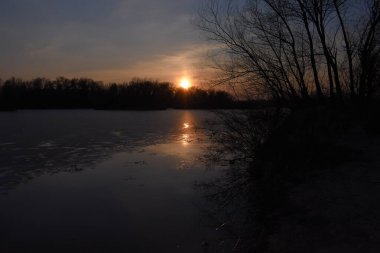 Gün batımında kuru kamışlı manzara