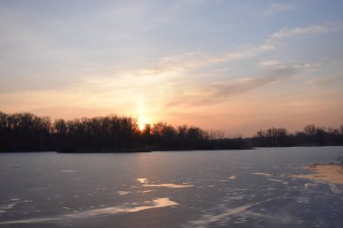 Gün batımında kuru kamışlı manzara