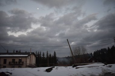 Ormanda bulutlu bir gökyüzü