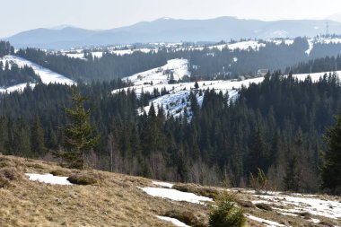 Kışın güneşli bir günde Karpatlar