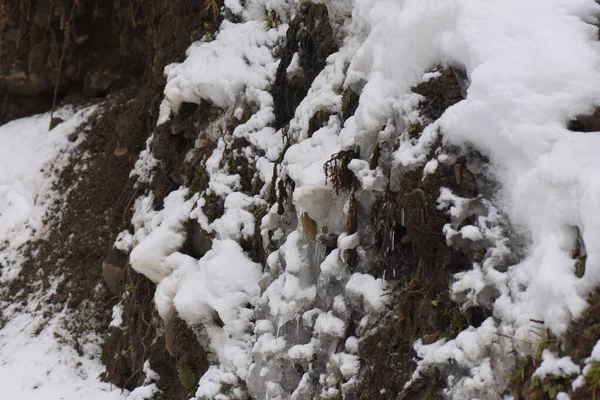 Mountains Rorest River Winter — Stock Photo, Image