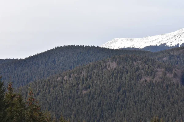 曇りの日には雪に覆われた山 — ストック写真