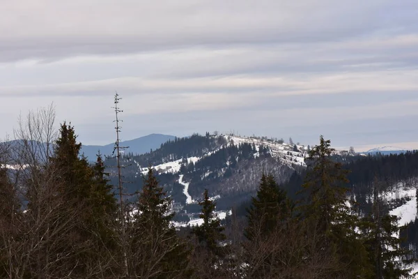 Kışın Karla Kaplı Dağlar — Stok fotoğraf