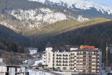 Karpatlar 'daki dağ köyü karla kaplıydı.