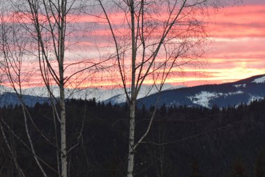 Karpatlar 'daki dağ köyü karla kaplıydı.
