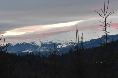 Karpatlar 'daki dağ köyü karla kaplıydı.