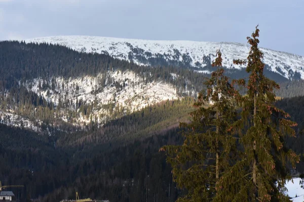 Aldeia Montanha Coberta Neve Cárpatos — Fotografia de Stock