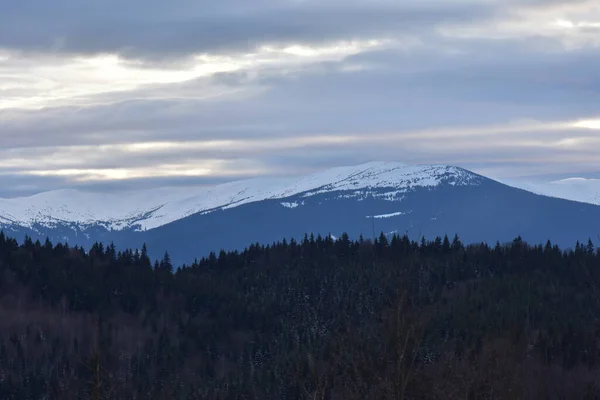 カルパティアの雪に覆われた山村 — ストック写真