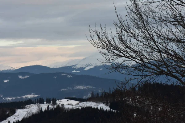 カルパティアの雪に覆われた山村 — ストック写真