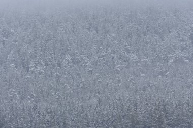 Kışın kayak merkezi