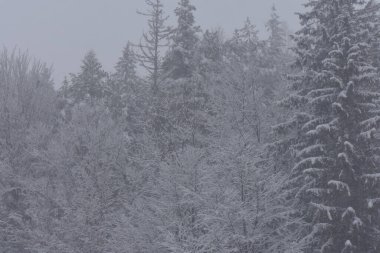 Kışın kayak merkezi