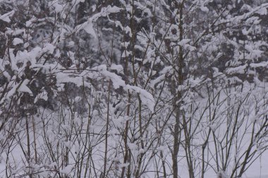 Kışın kayak merkezi