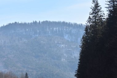 Kışın Karpatlar 'dan uzak dur