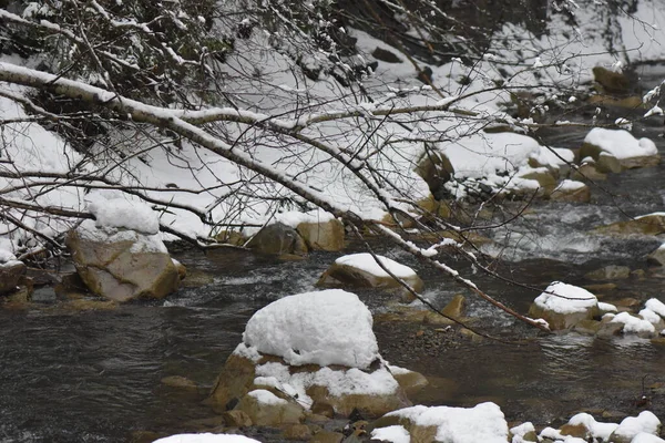 Winter Wald Gefrorener Fluss — Stockfoto