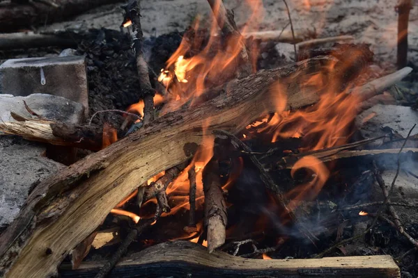 Fuego Bosque — Foto de Stock