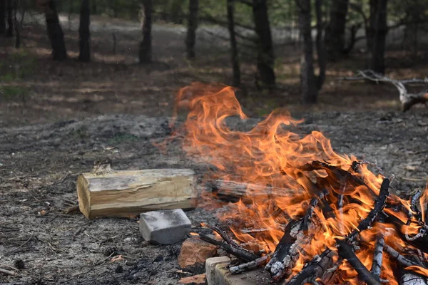 Incendio Nella Foresta — Foto Stock