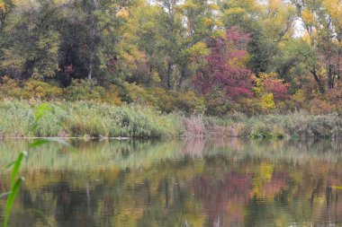 Ekim 'de göllü, ağaçlı ve renkli yapraklı sonbahar manzarası
