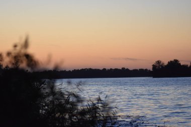 Sunset on the lake with reeds and trees in the foreground