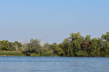 Ağaçlı nehir manzarası, arka planda sazlıklar ve mavi gökyüzü.