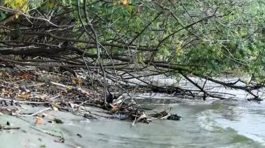 Eylül 'de kumlu sahilde Dnipro nehrinin sakin dalgaları kapanacak.