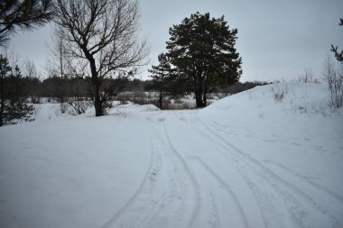 Donmuş göl, ağaçlar ve karla kaplı topraklarla kış manzarası