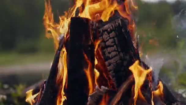 Feu de joie dans la forêt, Flammes de feu dans le feu de camp, ralenti — Video