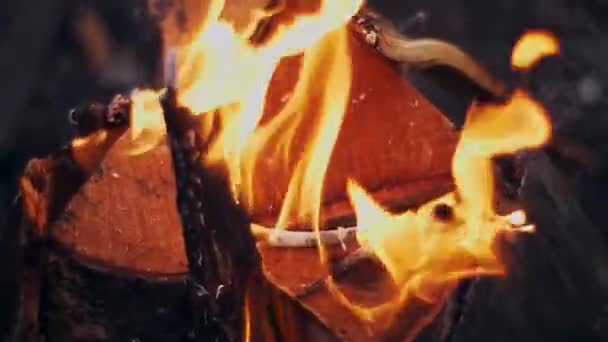 Bonefire in het bos, Vuur vlammen in kampvuur, slow motion. Sluiten. — Stockvideo