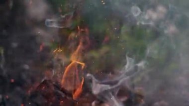 Ormanda şenlik ateşi, kamp ateşinde alevler, ağır çekim. Kapat.