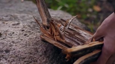 Genç gezgin ormandaki ateşi yakmak için odun yakıyor. Alyanslı eller yakın plan. Kamp yapmak. Dağlarda yürüyüş. Turizm. Seyahat