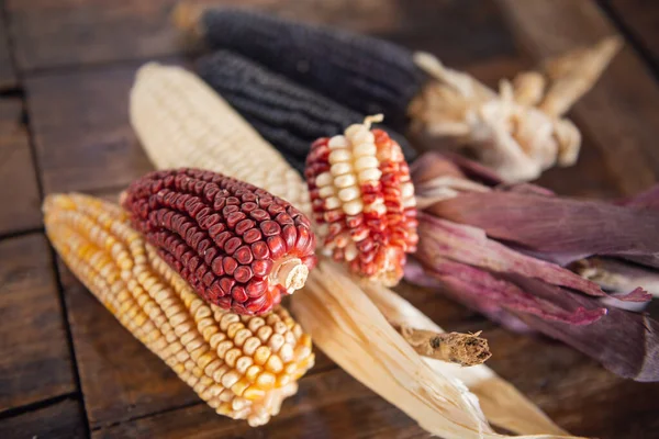 Diverse Specie Colori Mais Sul Tavolo Legno Mais Tortillas Tavolo — Foto Stock