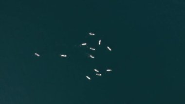 Güzel bir sahil manzarası, deniz manzarası, yukarıdan görülen acapulco plajı. Seyahat ve tatil konsepti. Sahilde renkli bir gün batımı. Hava videosu.