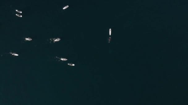 Prachtig Uitzicht Het Strand Vanuit Lucht Uitzicht Zee Acapulco Strand — Stockvideo