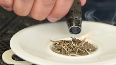 Barmen tütsülenmiş cin tonik hazırlamak için biberiye yakıyor. Miksoloji video konsepti 