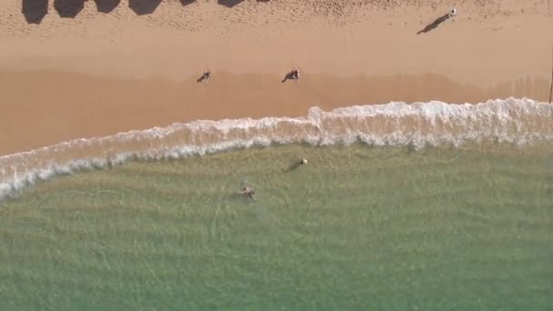 Güzel Bir Sahil Manzarası Plajın Havadan Görünüşü Yukarıdan Görülen Acapulco — Stok video