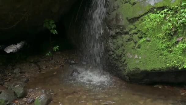 Wodospad Tropikalnym Zielonym Lesie Rzeka Zielonym Lesie Koncepcja Zrównoważonej Turystyki — Wideo stockowe