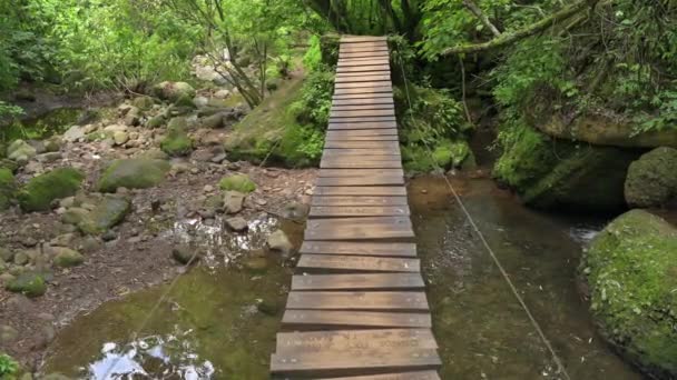 Závěsný Most Malebná Krajina Pro Pěší Turistiku Lesem Udržitelná Koncepce — Stock video