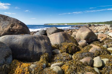 Kıyı şeridi boyunca uzanan bir su kütlesinin yanında kayalık bir plaj. Gros Morne, Newfoundland, Kanada.