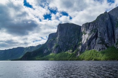 Arka planda bir dağ olan su kütlesi Gros Morne Ulusal Parkı Batı Brook Gölü