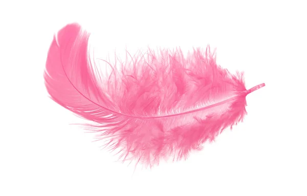 배경에 분리되어 부드러운 분홍색 — 스톡 사진