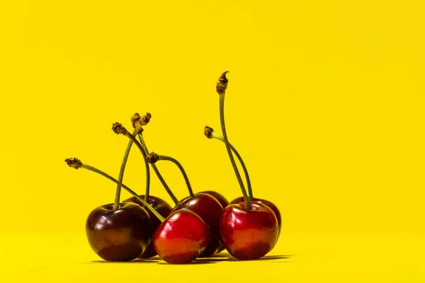 Uma Pequena Quantidade Cerejas Maduras Com Galhos Encontra Fundo Amarelo — Fotografia de Stock