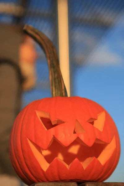 Halloween. — Foto de Stock