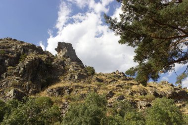 Ormanda ve uzak bir dağda gün ışığı.