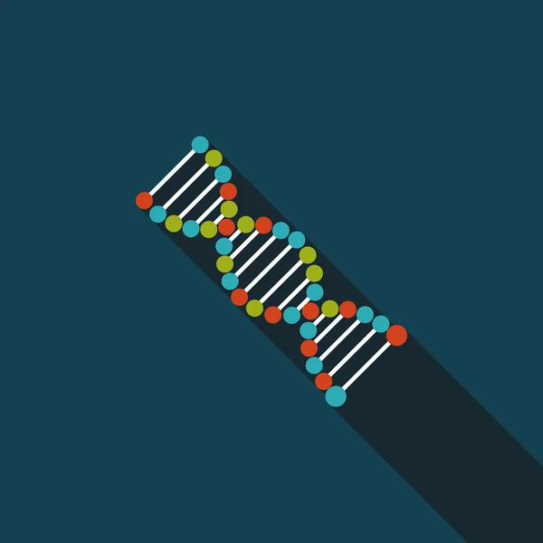 Ikon datar DNA dengan bayangan panjang - Stok Vektor