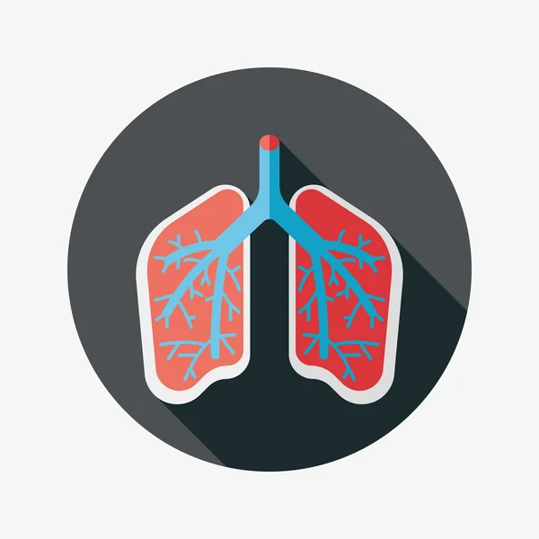 Lungs flat icon with long shadow — Stock Illustration Lungs flat icon with long shadow Stock Illustration