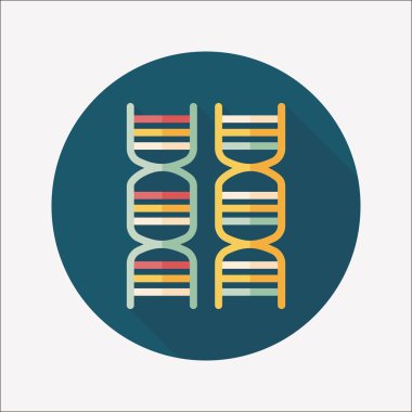 DNA uzun gölge düz simgesi