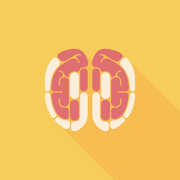 brain flat icon with long shadow