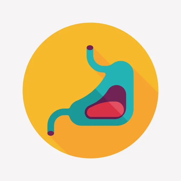 Icône plate ventre humain avec ombre longue — Image vectorielle